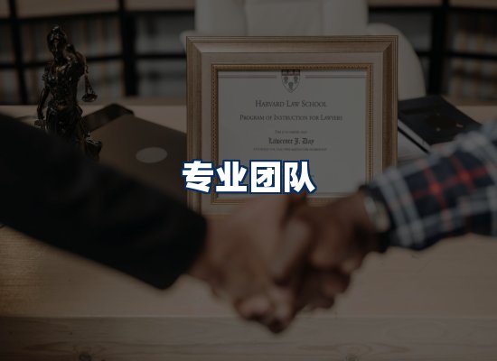 专业团队